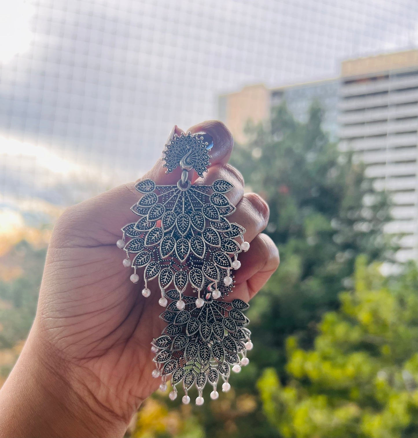 Peacock 🦚
