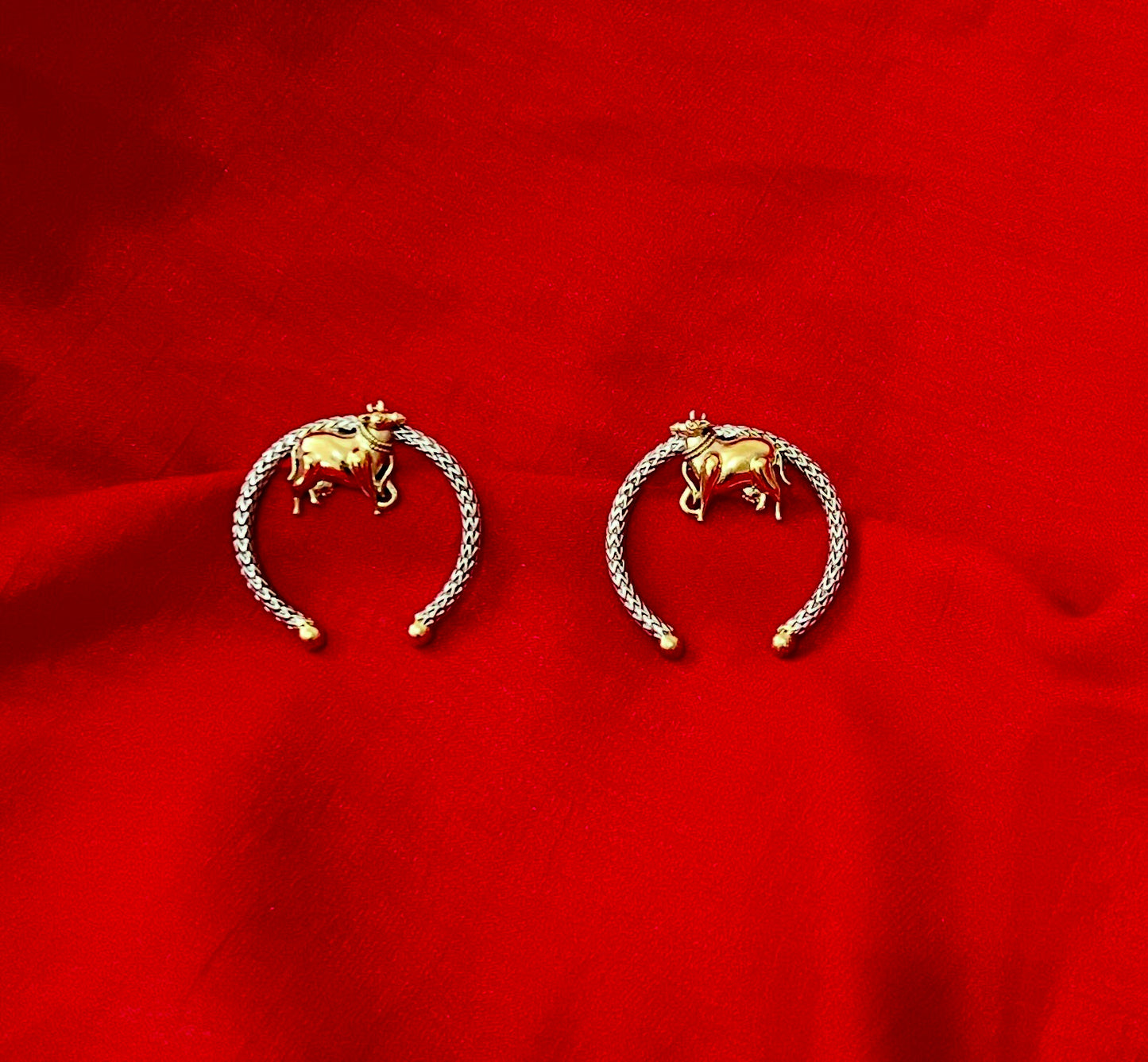 Dual tone premium earrings