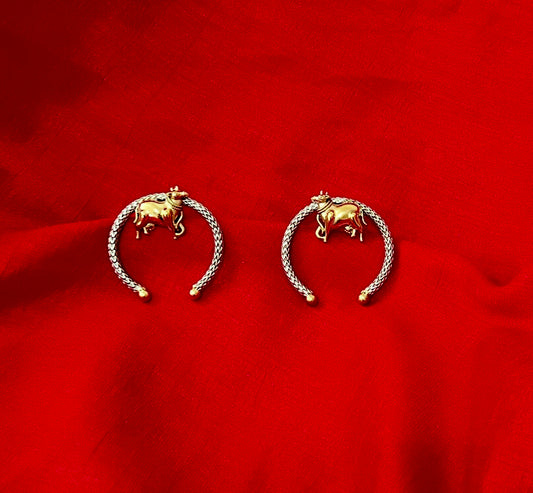 Dual tone premium earrings