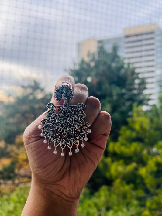 Peacock 🦚